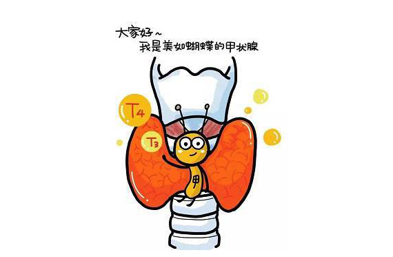 甲狀腺腫大是缺碘導(dǎo)致的嗎？