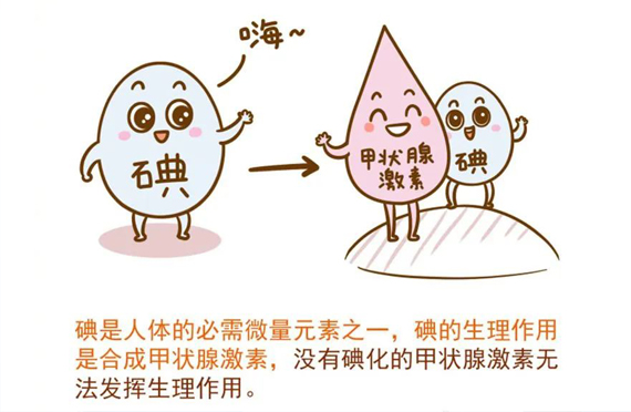 小小碘元素，生理作用大！
