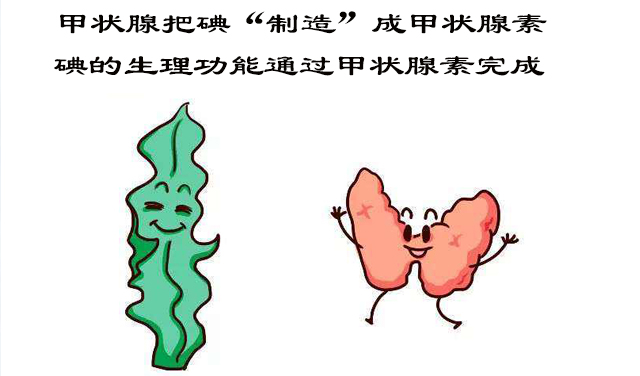 甲狀腺結(jié)節(jié)和碘有關(guān)系嗎？